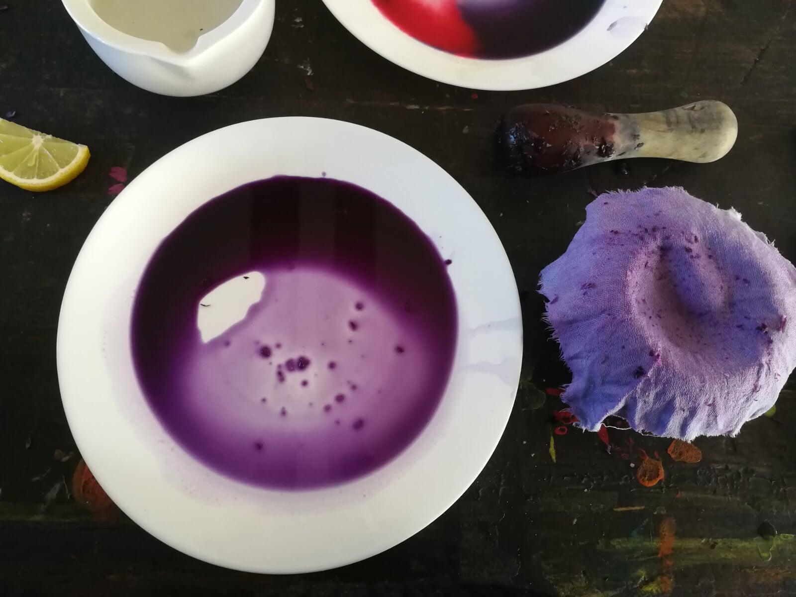 WurzelBalance ist jetzt Sevengardens Dialogerin